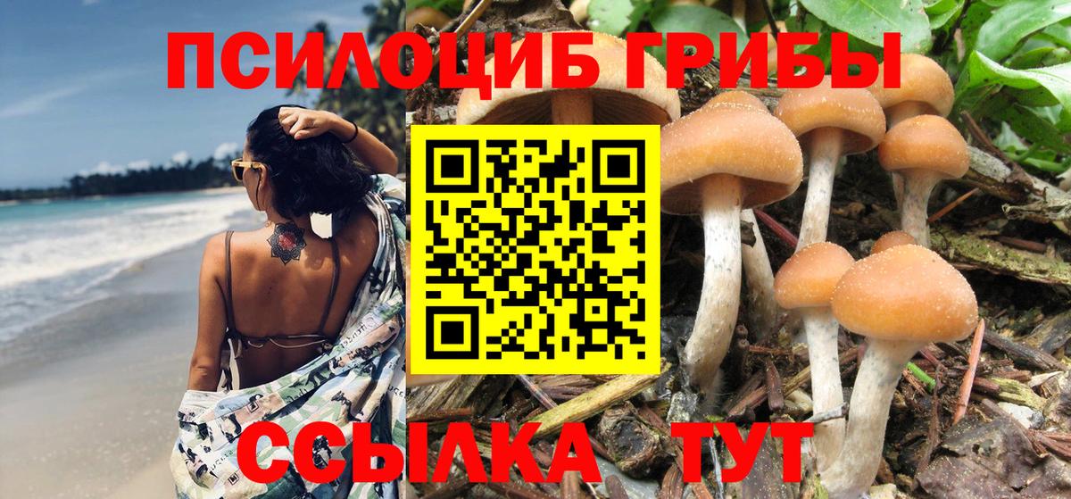 Воркута  Галлюциногенные грибы прущие грибы  Псилоцибиновые грибы Magic Shrooms  наркошоп  Вход с VPN 